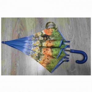 ������������� �����������