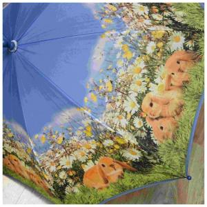 ������������� �����������