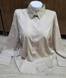 ������������� �����������